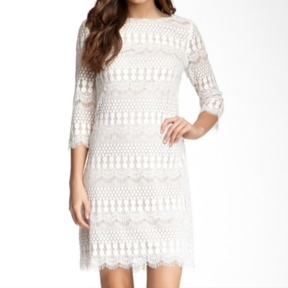 Eliza J White Lace Crochet Long Sleeve Dress. NWT. Size 4.